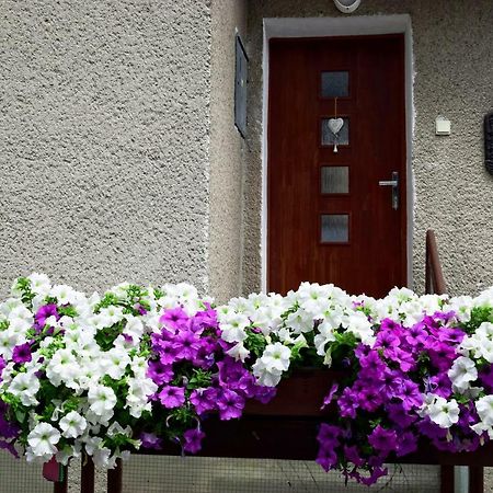 Apartman Martin Bagian luar foto